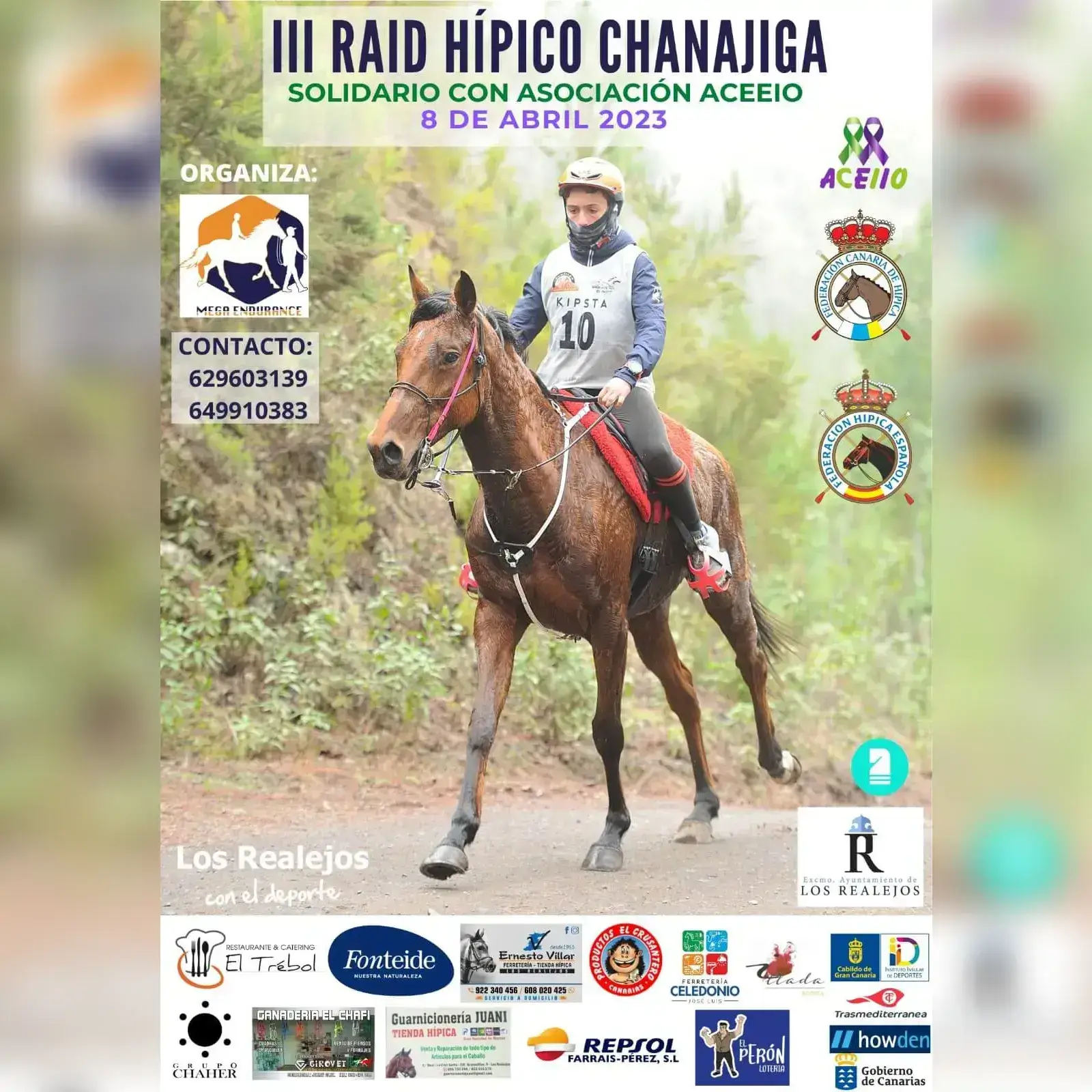 Poster of III Raid Chanajiga