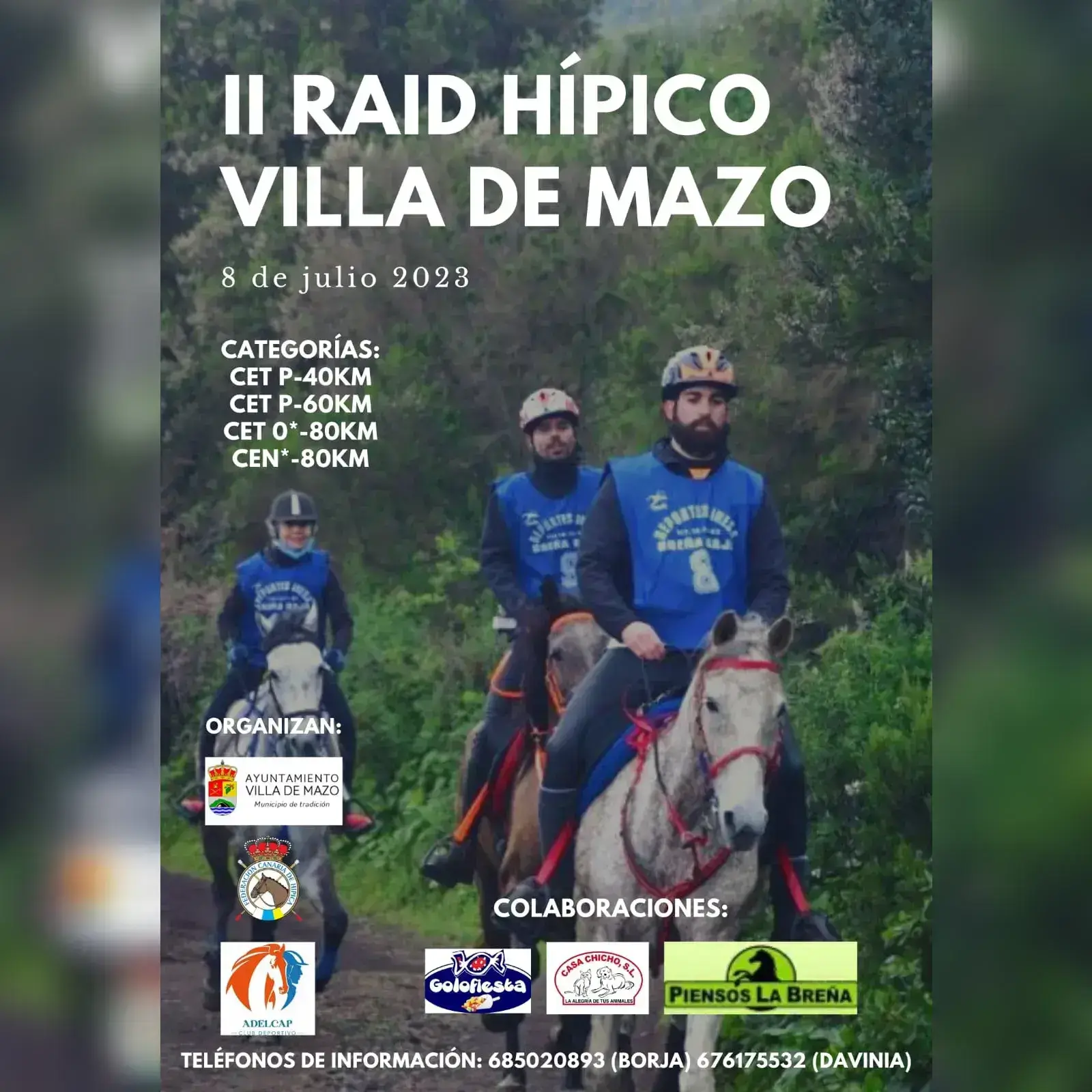 Poster of II Raid Villa de Mazo