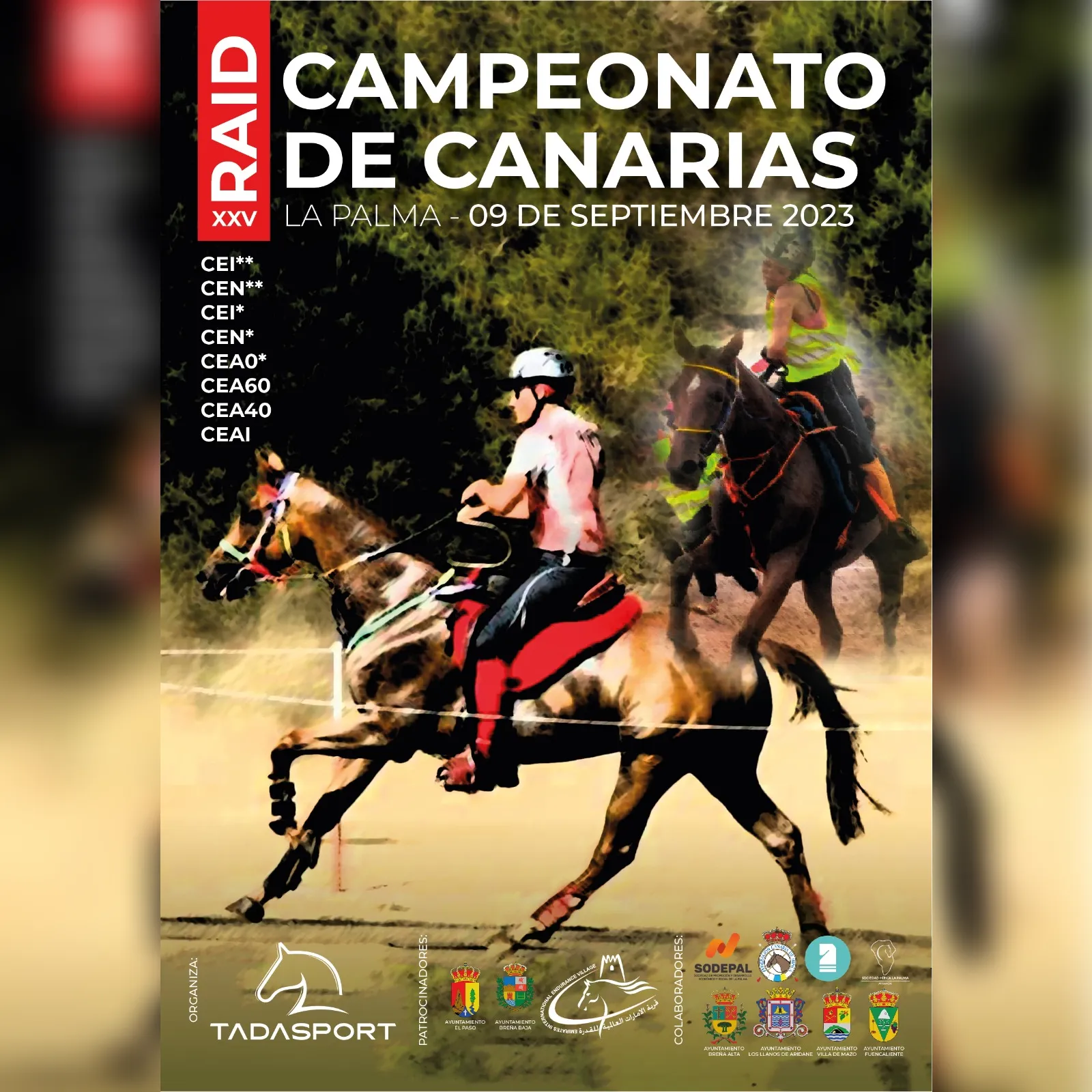 Poster of XXV Campeonato de Canarias de Raid 2023