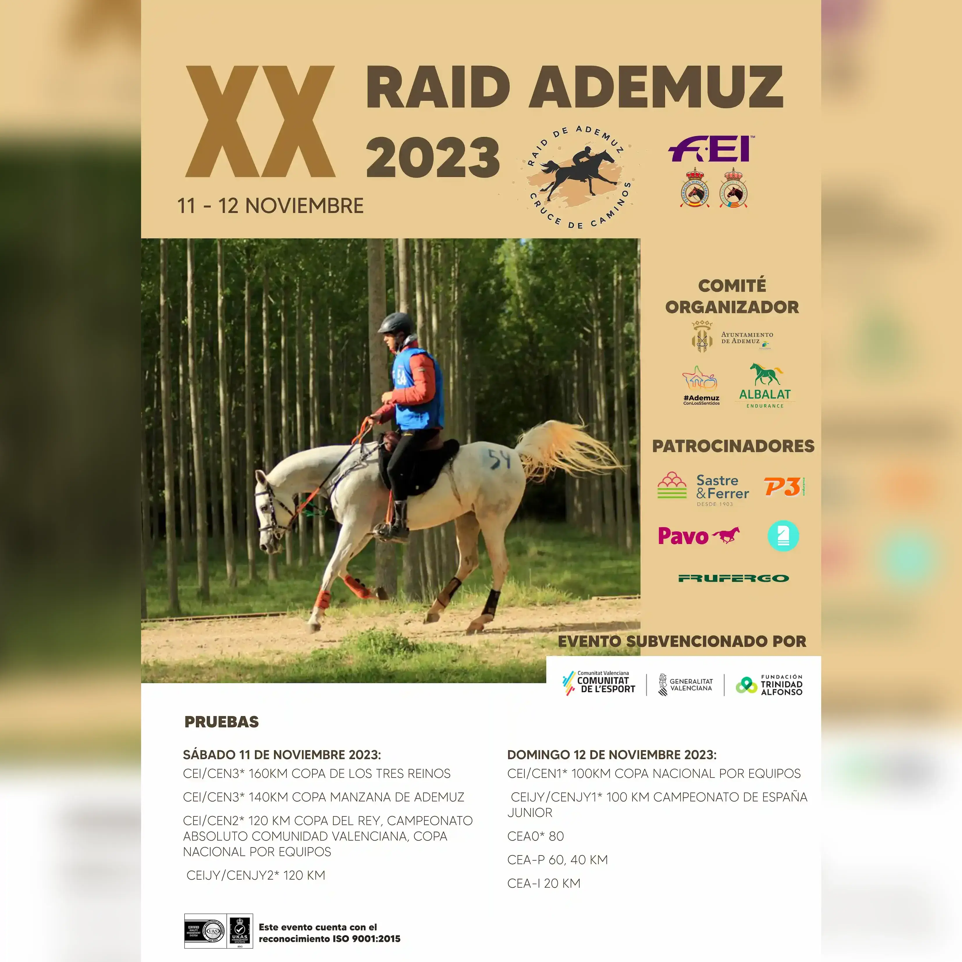 Poster of XX Raid Ademuz