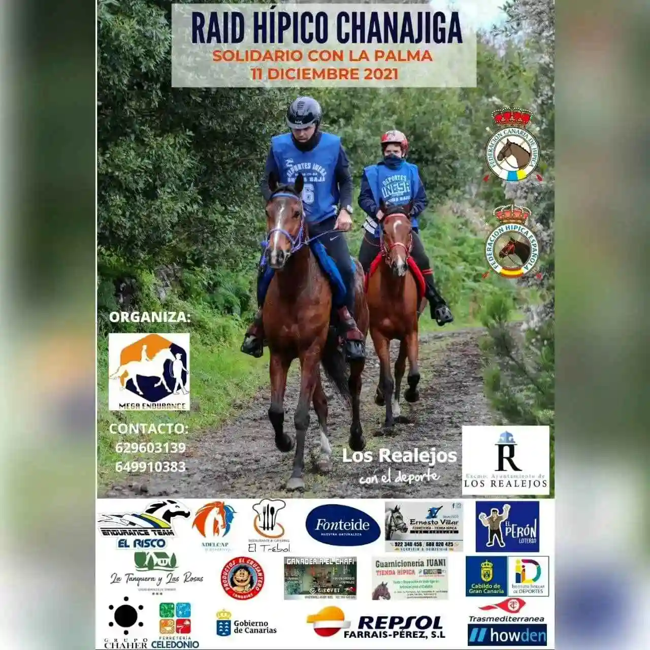 Poster of I Raid Chanajiga