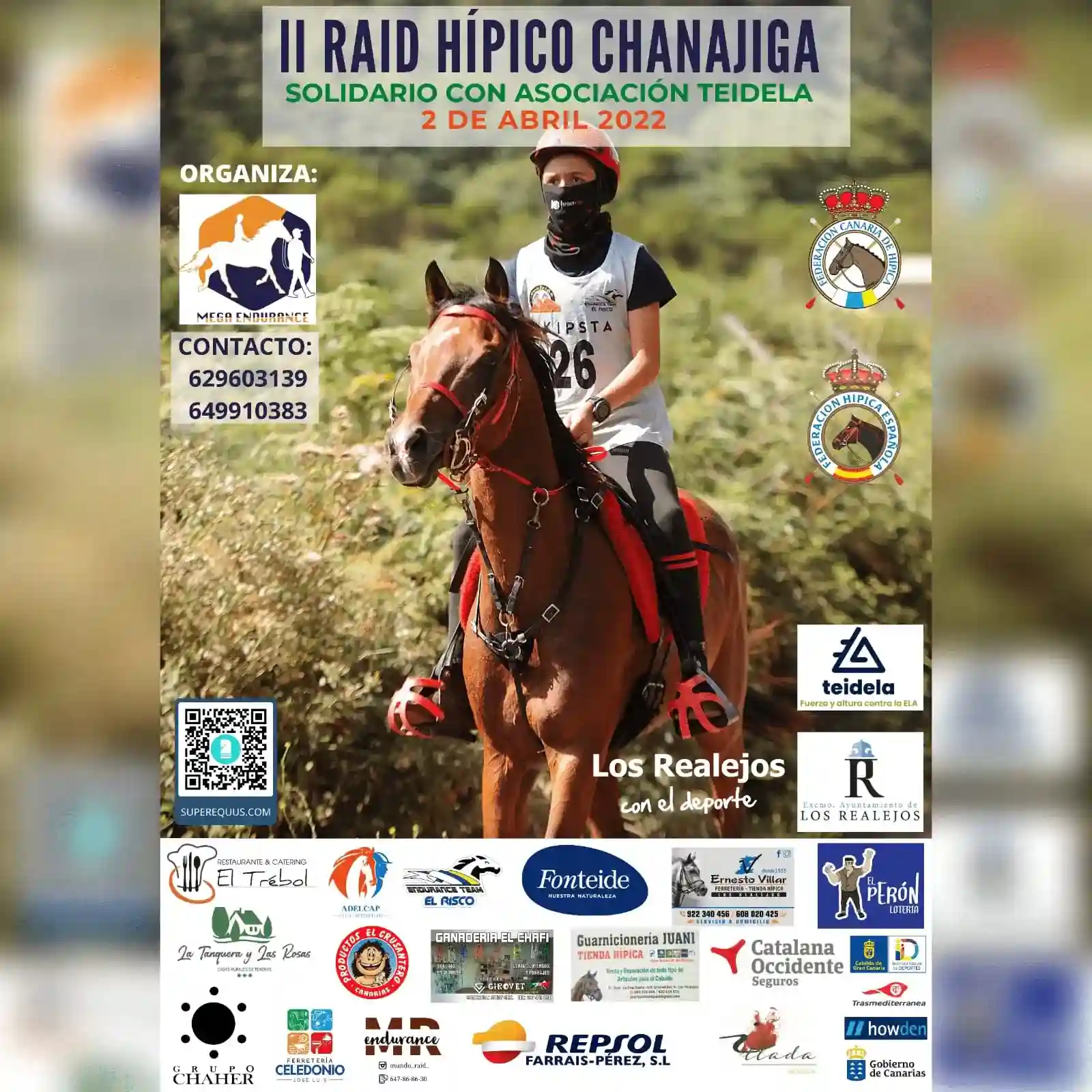 Poster of II Raid Chanajiga